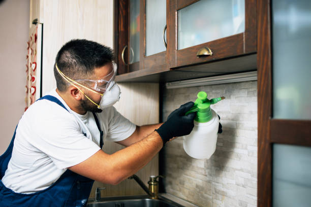 Best Pest Control Treatment  in Tallahassee, FL