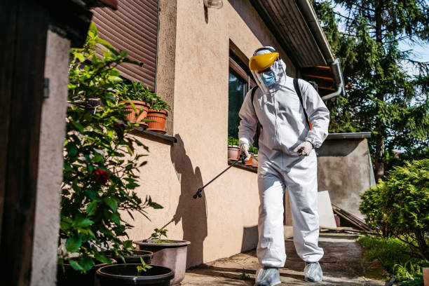 Best Bed Bug Extermination  in Tallahassee, FL