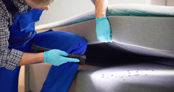 Best Pest Removal Services  in Tallahassee, FL