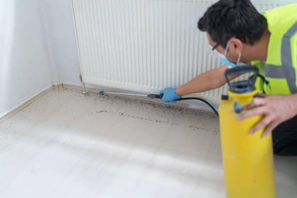 Best Affordable Pest Control Services  in Tallahassee, FL